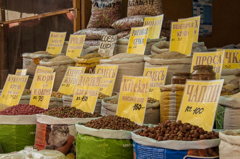 Bischkek (c) Alesia Belaya